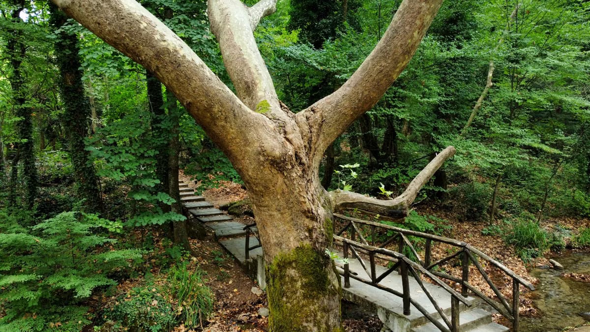 Πώς να Διατηρήσετε τη Φυσική σας Κατάσταση
